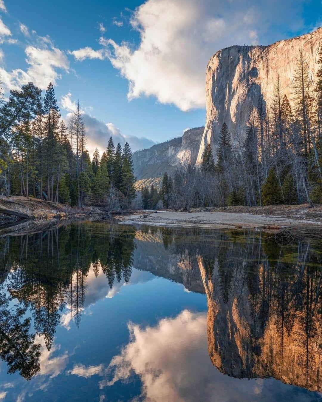 Апартаменты Oak Retreat By Yosemite National Park Корсеголд Экстерьер фото
